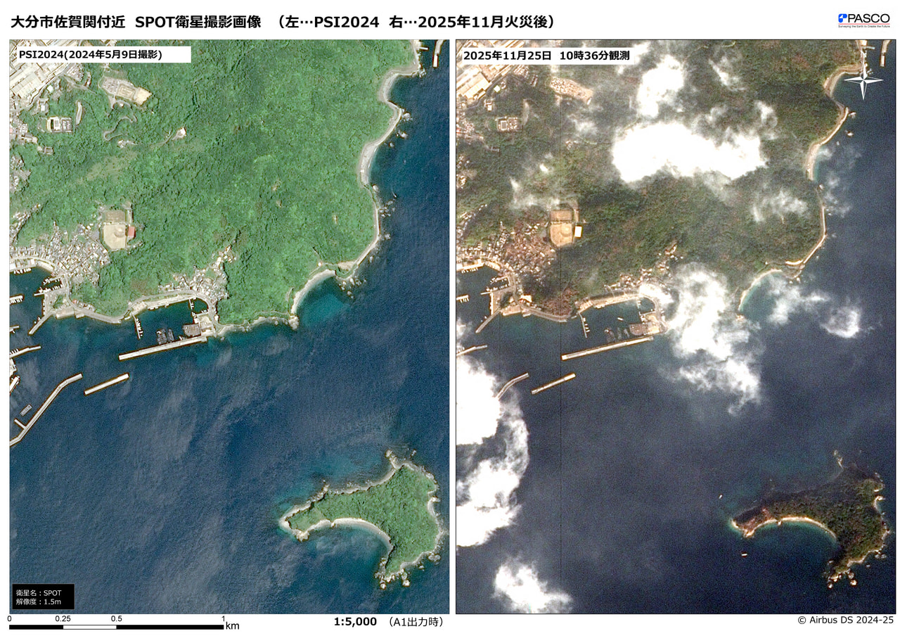 2025年11月 大分市佐賀関の大規模火災 - 災害緊急撮影｜株式会社パスコ