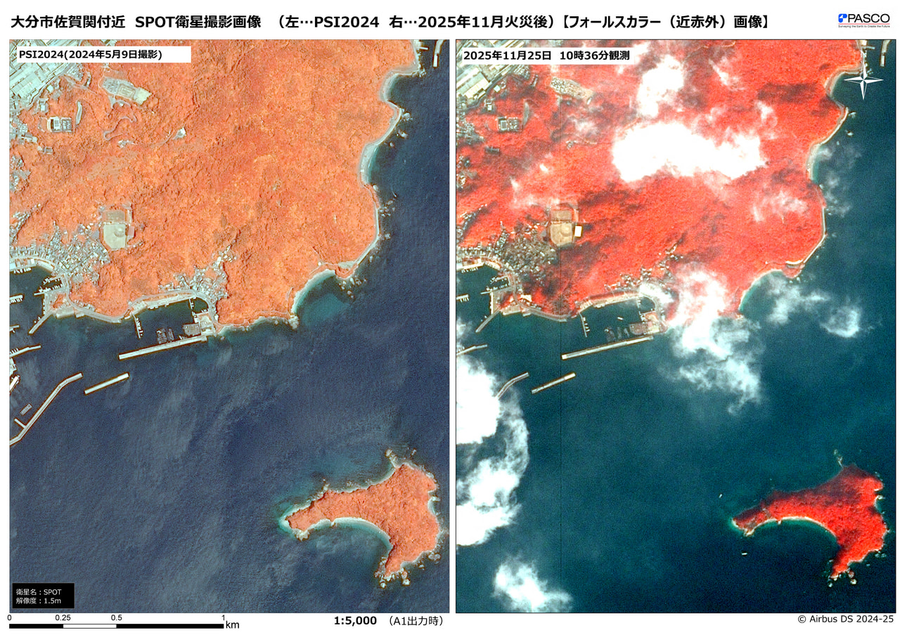 2025年11月 大分市佐賀関の大規模火災 - 災害緊急撮影｜株式会社パスコ